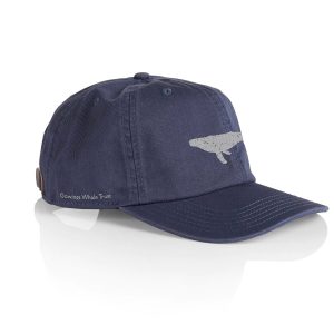 puma caps under 300