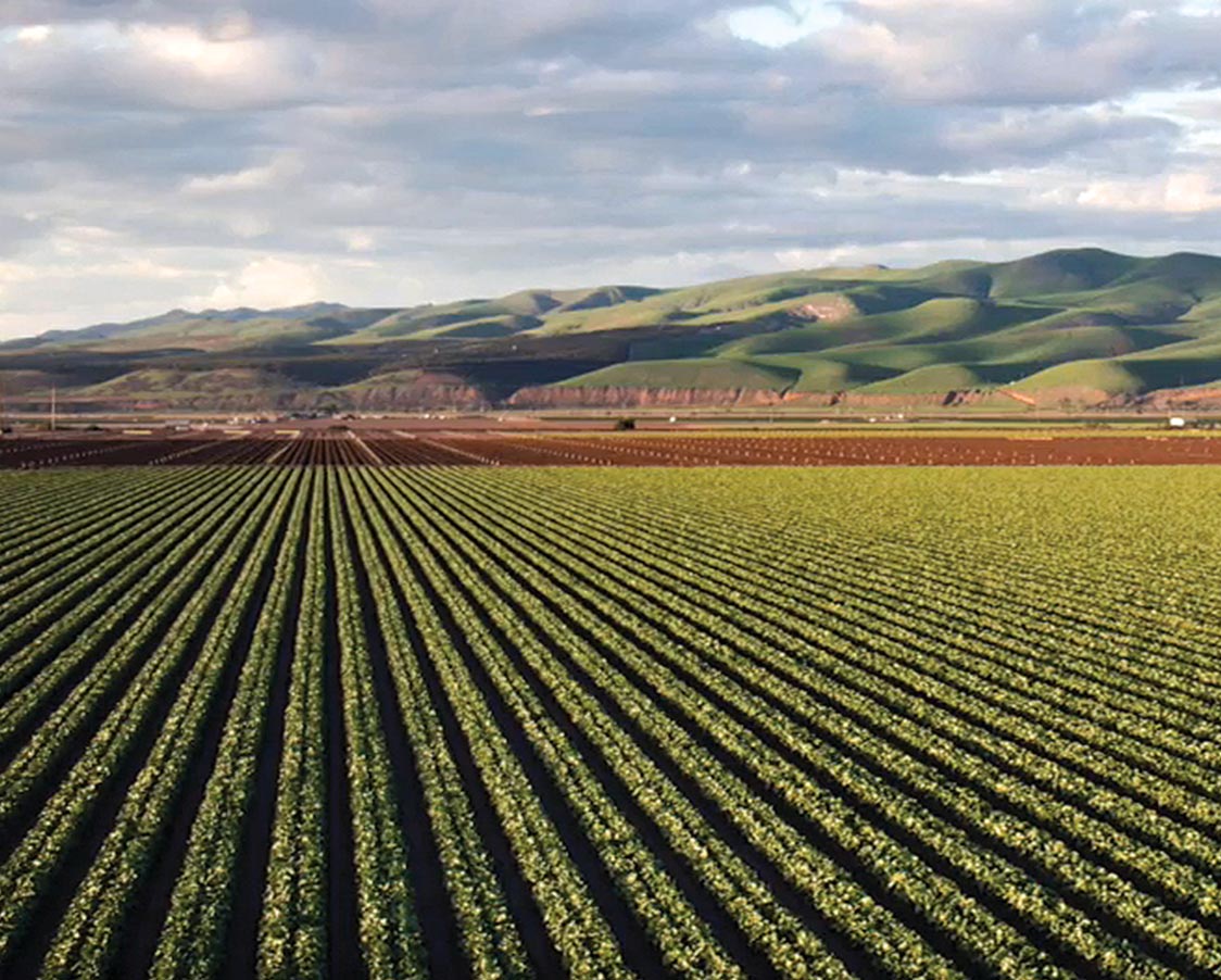 Power Pollen Accelerated Ag Technologies