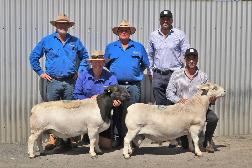 Rams hit record breaking prices at Burrawang with a top of $62,000